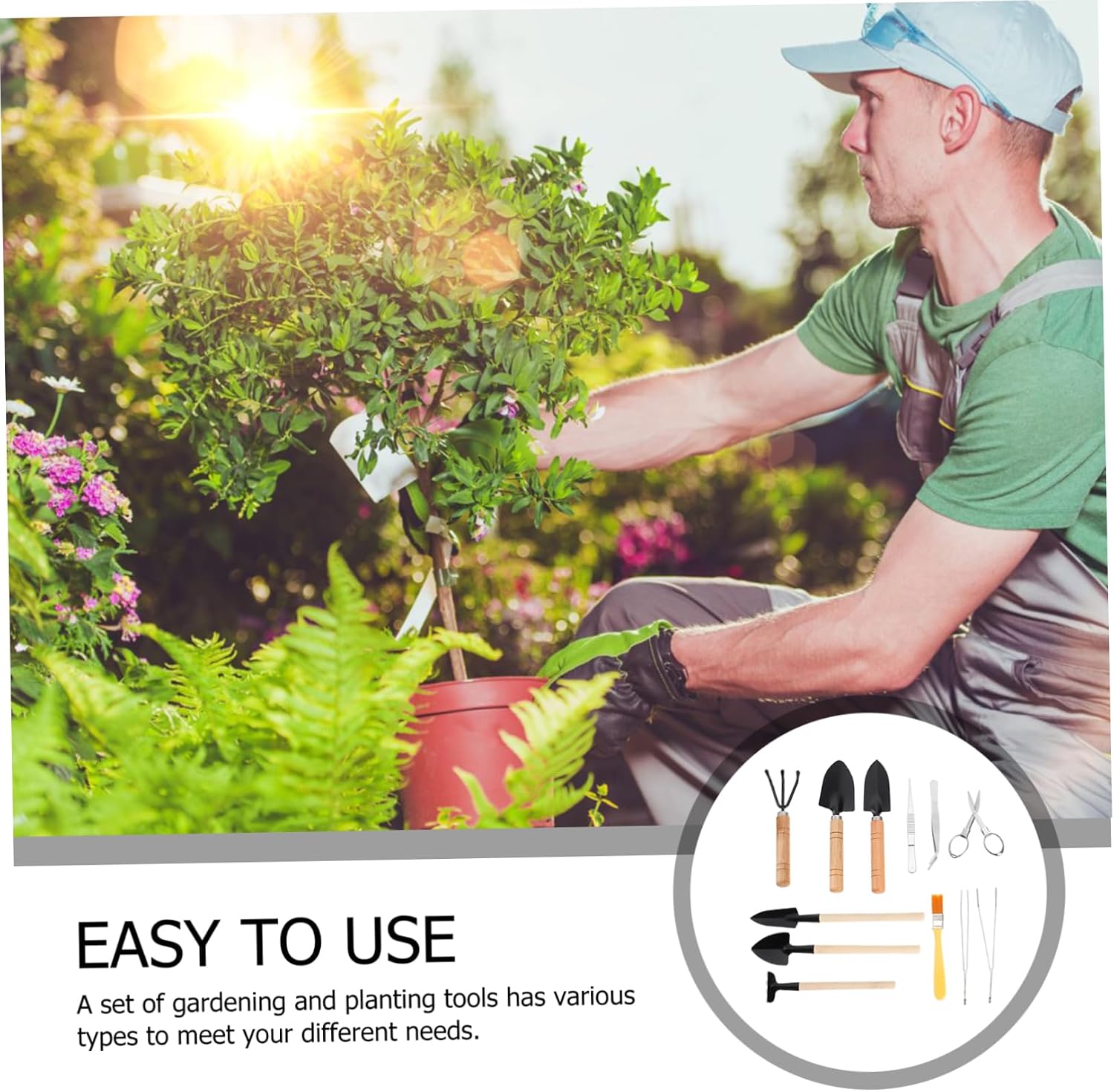 Mini Planting Kit 10pcs Wooden Tool Set for Bonsai Gardening image 3