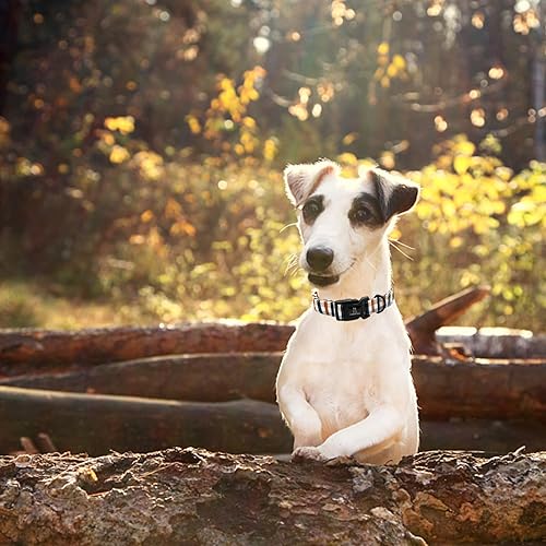 Miniatura 5 de Lionheart glory Collar de perro a cuadros, collar de perro de otoño, collar de perro hembra o macho, collar de perro ajustable resistente para perro