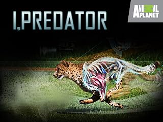 I, Predator