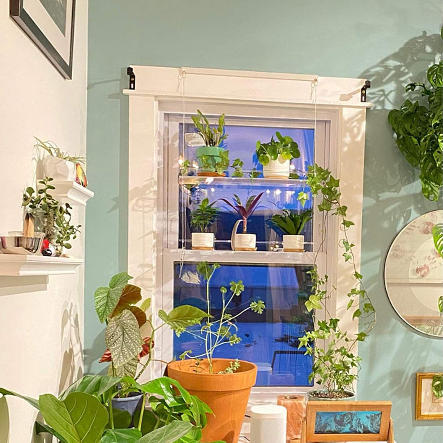 Multi Tier Window Plant Shelf, Clear Hanging Wall Shelves with Rope, Indoor Transparent Hanging Planter Shelf Displays Storage Rack, Floating Wall Hanger Shelves Hanging Shelf for Living(Two Tier)
