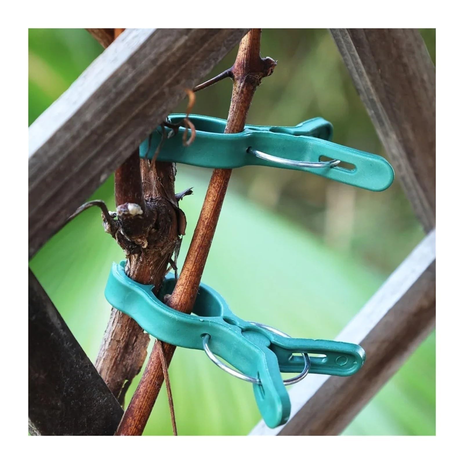 Clip de Fixation for Plantes de Jardin 50/10 pièces
