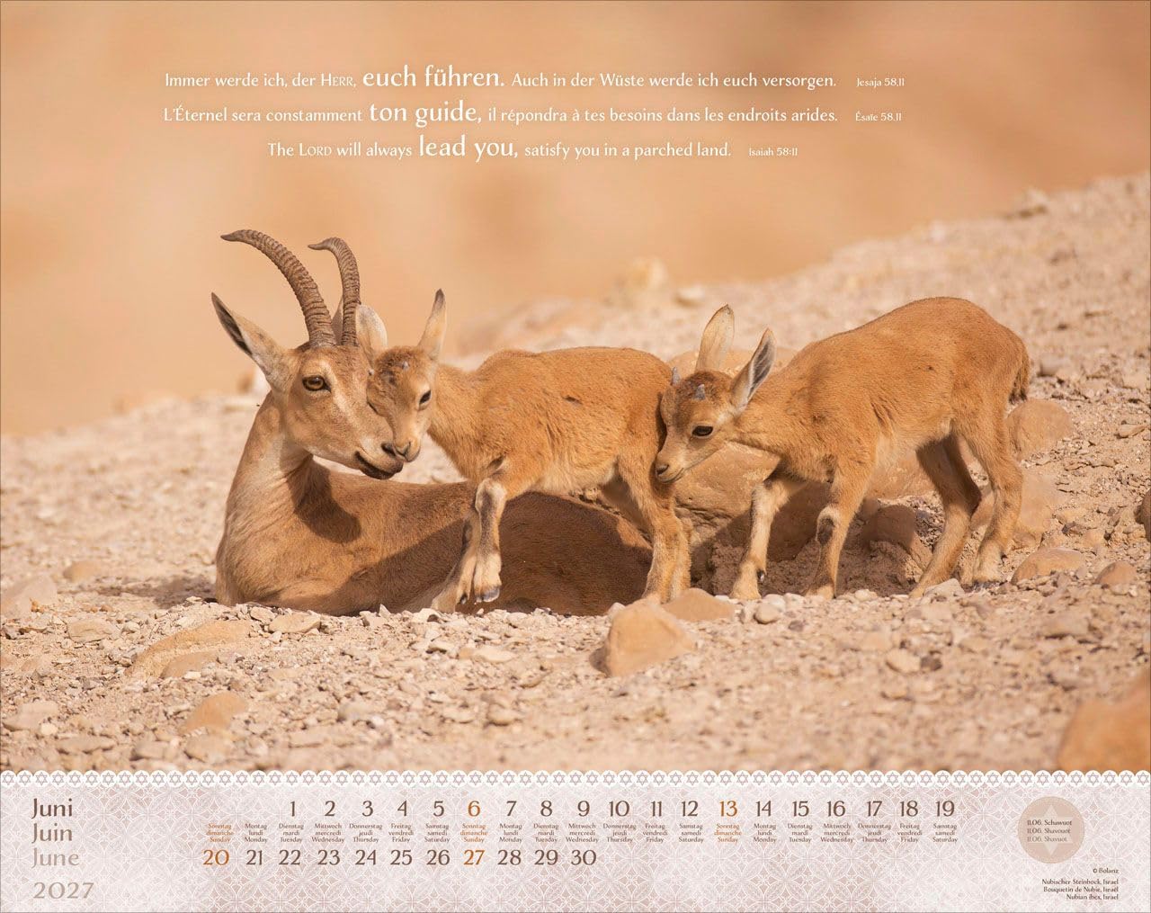 Israel Shalom 2027 – Wandkalender