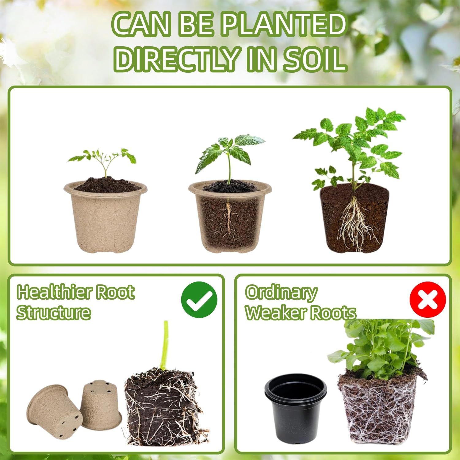 50 Piezas Grande Macetas Biodegradables, 11cm Semilleros de Germinacion, Redondas Macetas con Agujeros de Drenaje, con 1 Botella de Pulverización, para Plantasde de Semillero, Flores, Plantas