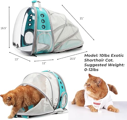 Miniatura 2 de Lollimeow - Mochila para transporte de mascotas, mochila de burbuja para transportar gatos y cachorros, aprobada para aerolíneas, diseñada para