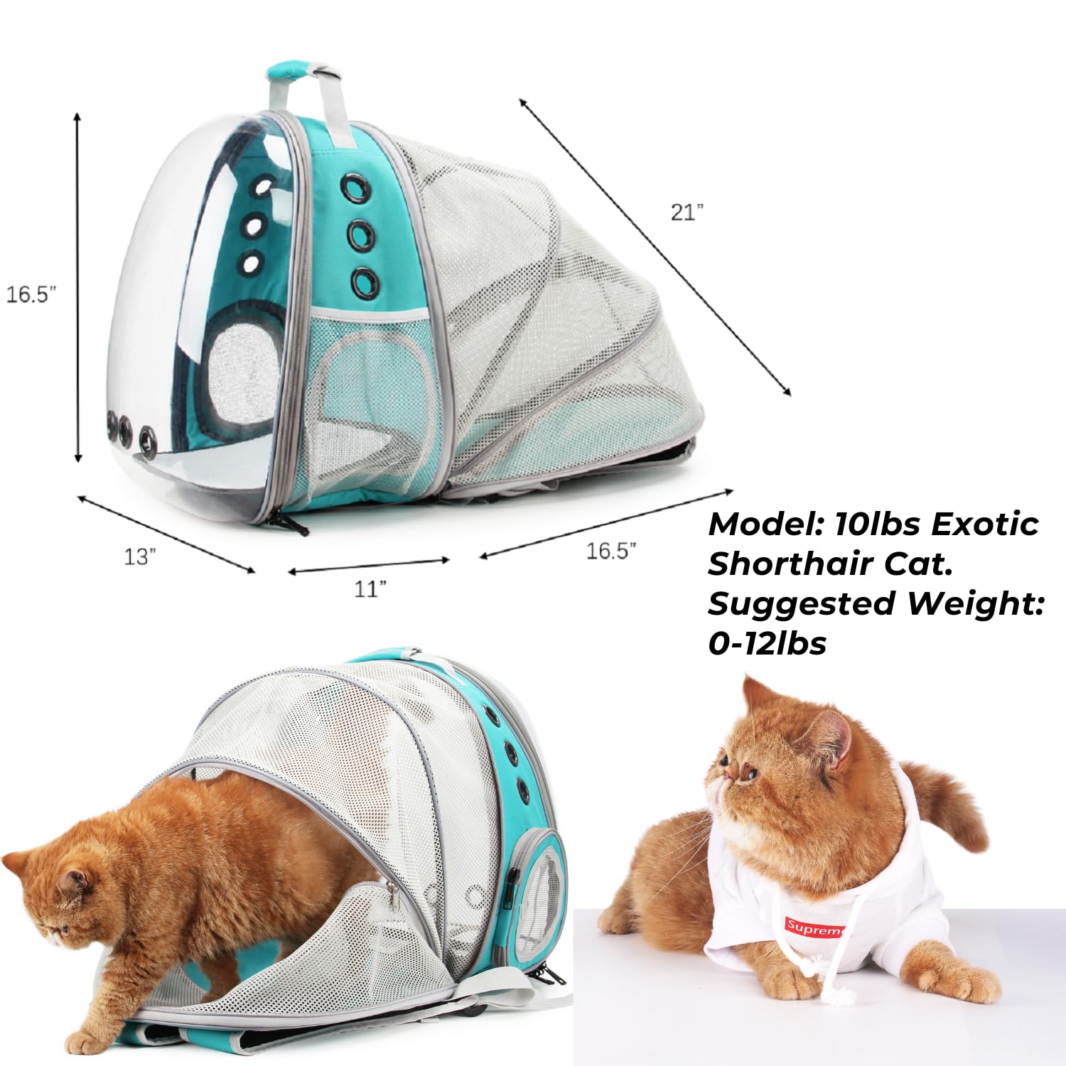 Lollimeow Cat Carrier Backpack, Expandable Bubble Pet Carrier for Cats and Small Dogs, Airline Approved Travel Backpack for Hiking, Walking & Outdoor Adventures - Supports up to 14 lbs - image 2