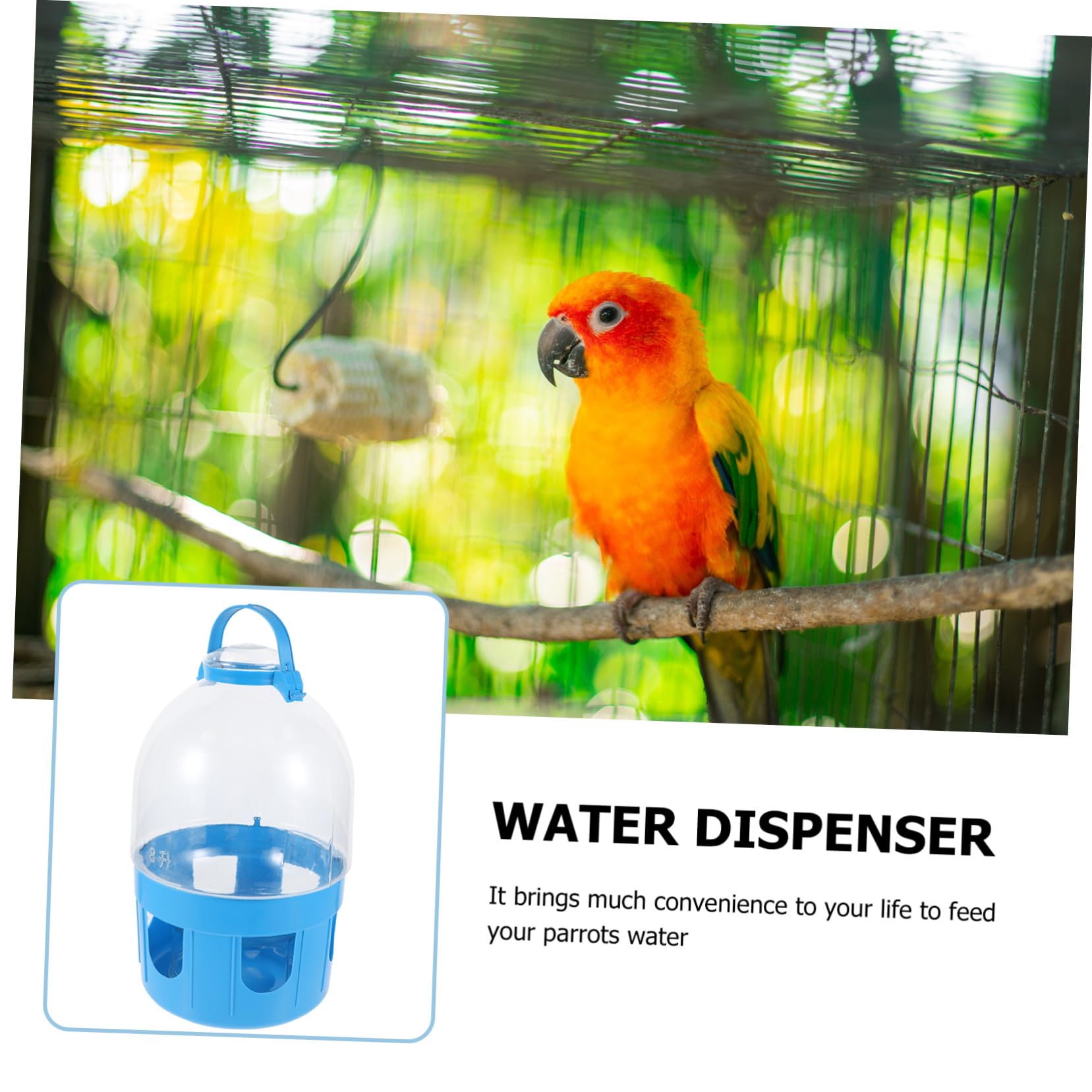 Kunststoff Tauben Wasserspender mit Großem Fassungsvermögen Verschleißfest und Bruchsicher Selbstreinigender Vogel Trinknapf für Tauben und Papageien Zufällige Farbe