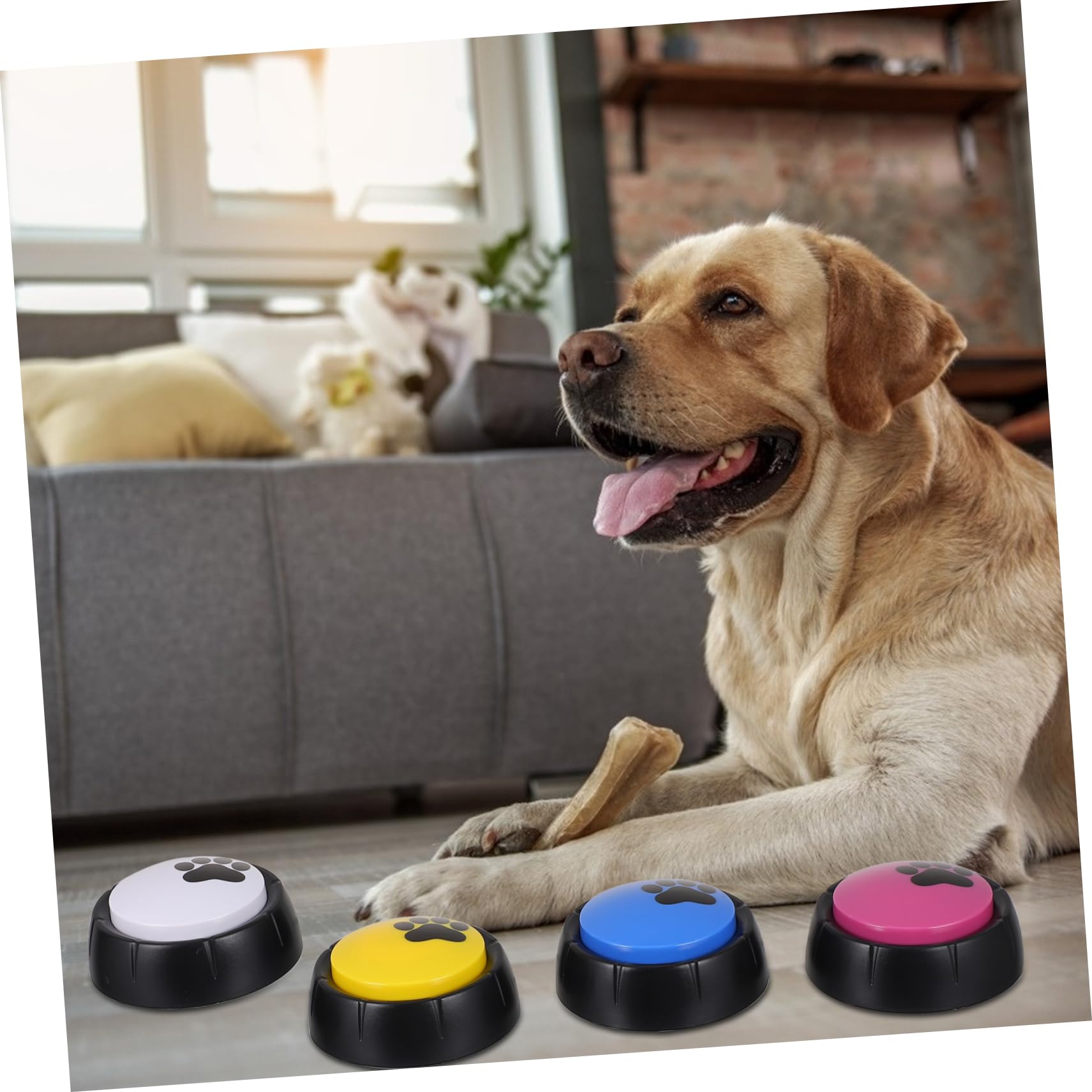 BESPORTBLE Pulsante Parlante per Cani Registrabile 4 Pezzi ABS