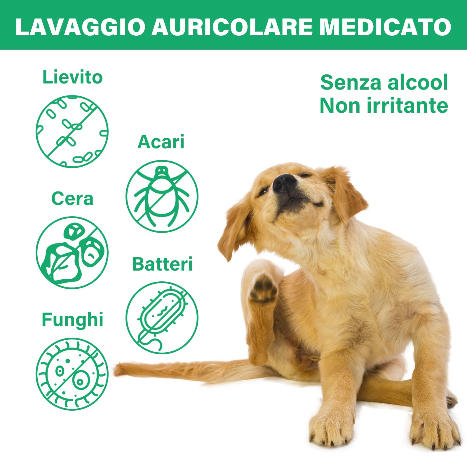 GJYC PET Pulizia Orecchie Cane, Gocce Orecchie Cani, Gocce Orecchie Cane, Detergente Orecchie per Cani, Risciacquo per Le Orecchie del Cane, Soluzione per la Pulizia delle Orecchie del Cane, 4 OZ