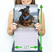 Vista 1295 de Razas de Perros 2017