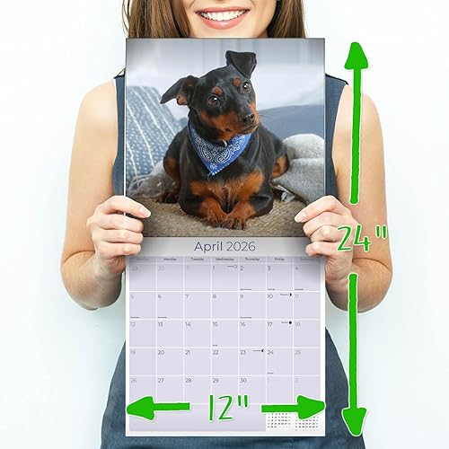 Miniatura 8 de Razas de Perros 2017