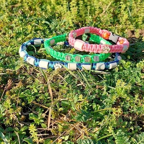 Keramik-Halsband für Hunde von Pfoetchen-Welt mit EM-Keramik