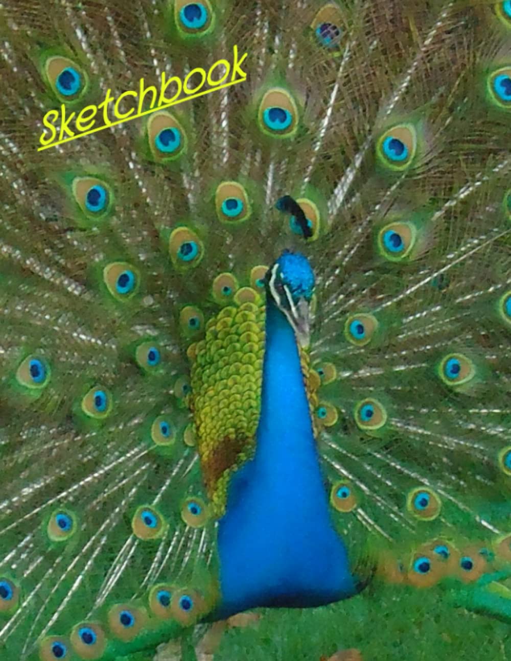 Peacock Sketchbook: 8.5x11 Blank Paper Notebook for Drawing, Sketching, Doodling, Cartooning, Art, Journal, Notes