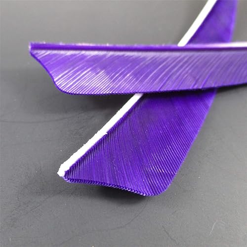 Miniatura 19 de Letszhu Paletas de pavo real de 4 pulgadas con flechas de tiro con arco para caza y tiro al blanco (paquete de 25)