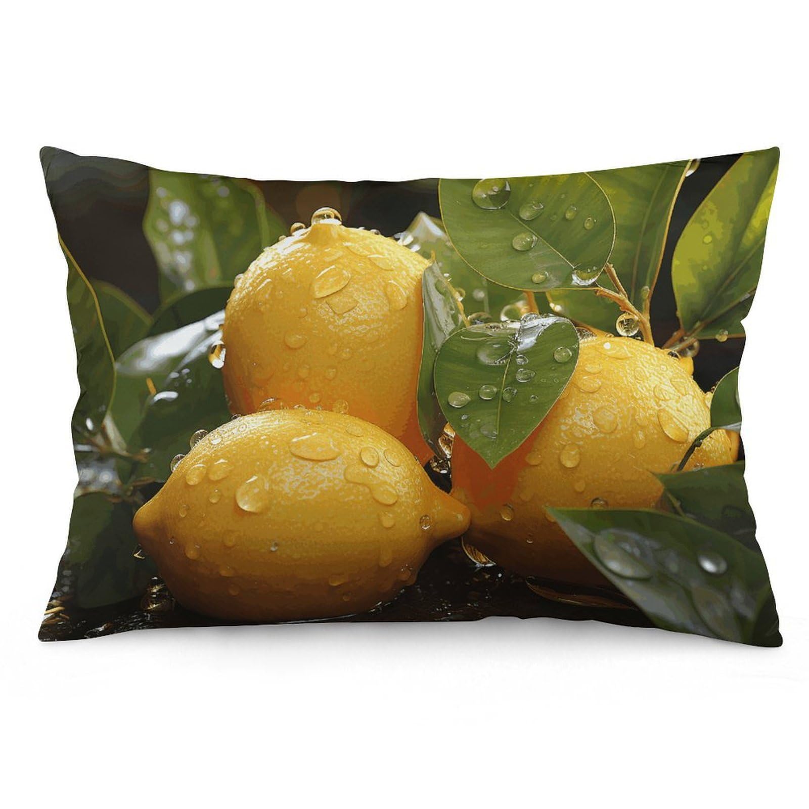 NTVOWPZO 2 Pack Decoration Throw Pillow Covers 16 "x24 Pillowcases Covers Fresh Lemon Pillowcases Modern Farmhouse Home Decor Sofa Cushions Covers for Couch Bed Living Room