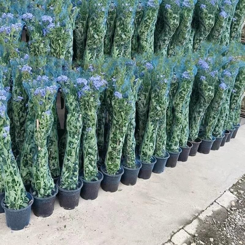 Sacchetti a Rete per Frutta, Sacchetto a Rete in Nylon a Cilindro Lungo, for imballaggio da supermercato, imballaggio da Giocattolo, imballaggio da Frutta(1",50m)