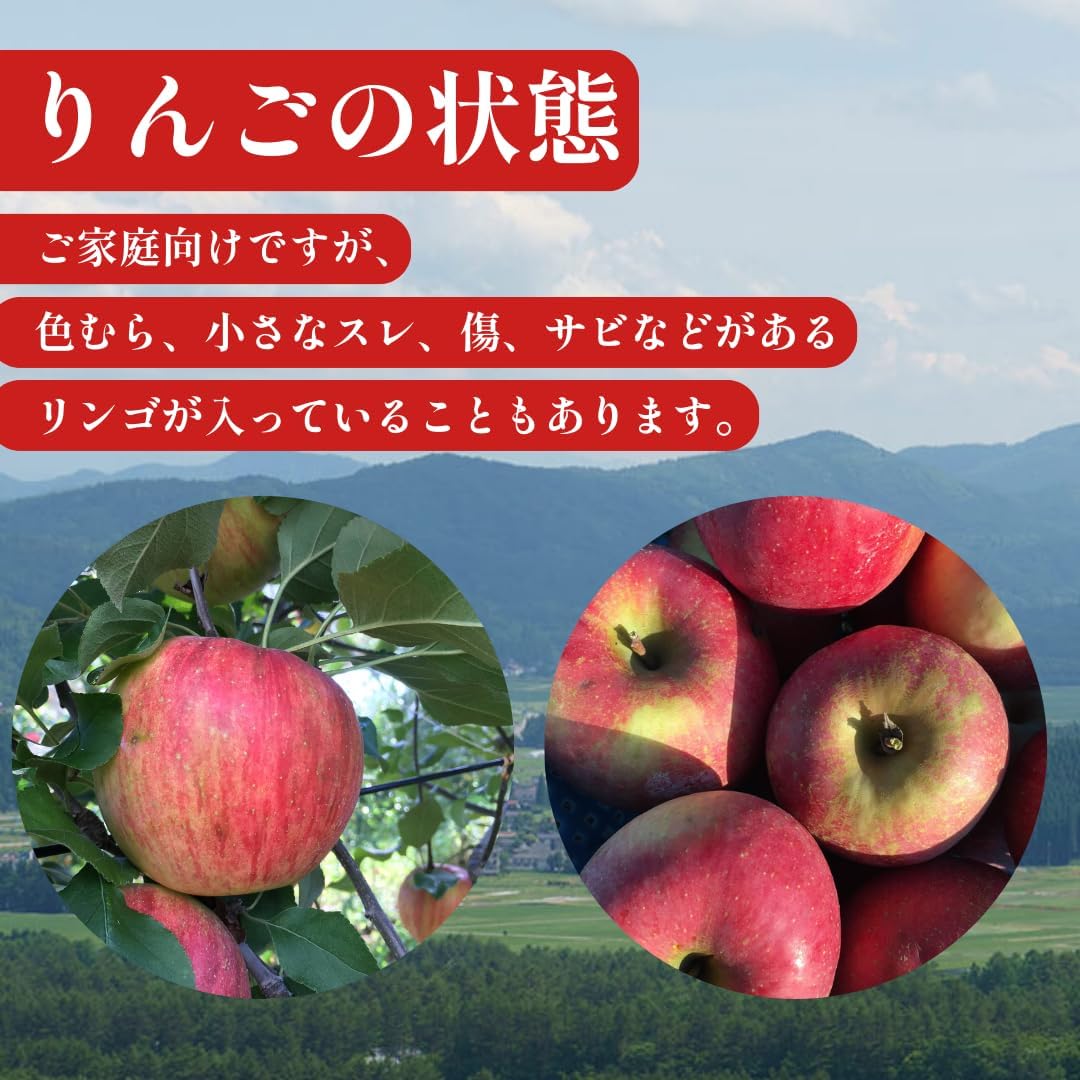 葉とらずりんご（長野県信州産）訳あり品 季節のおすすめ品種をお届け 5kg（11〜20玉程度）