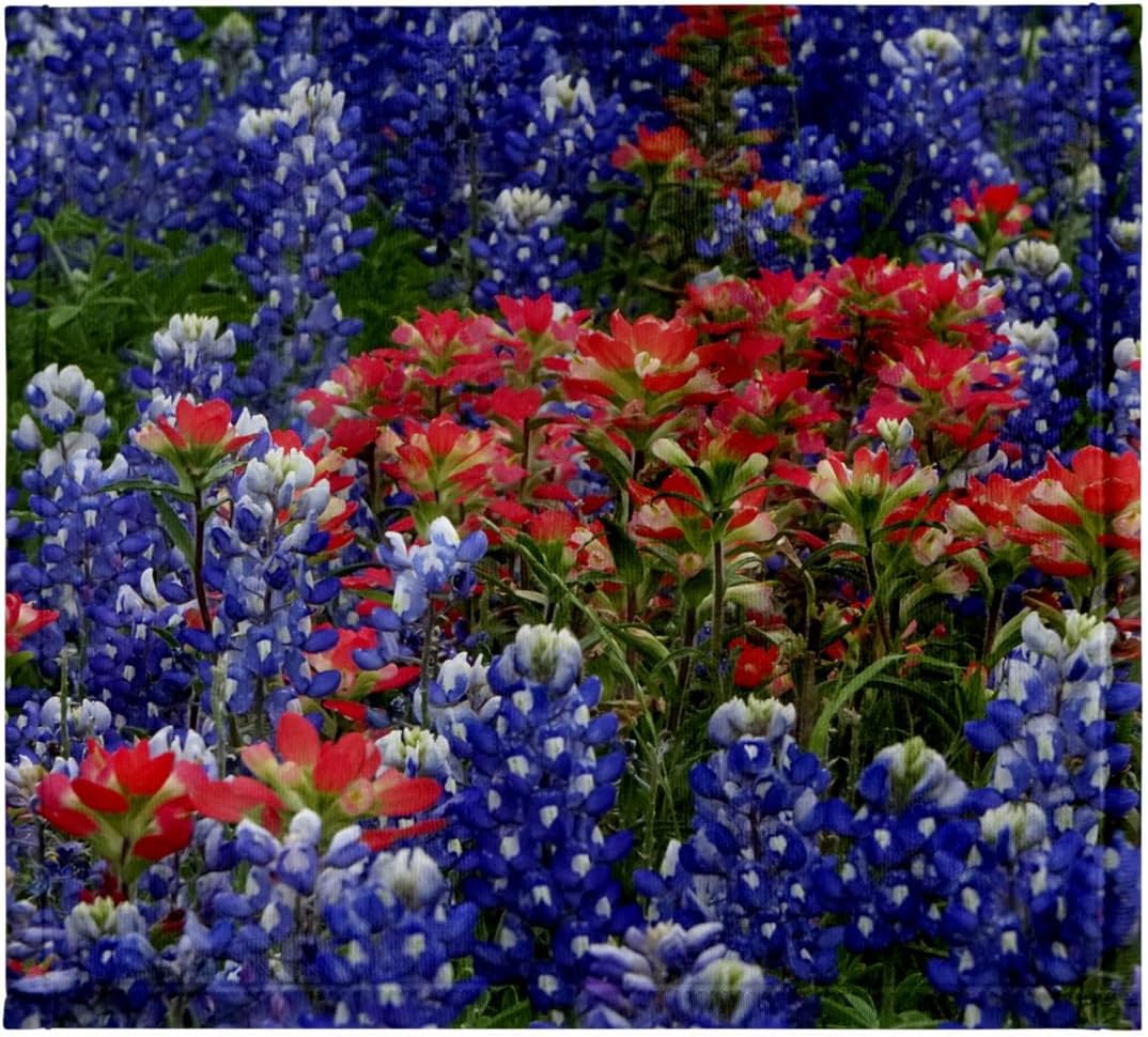 3dRose Texas Hill Country Wildflowers. Bluebonnets and Indian Paintbrush 22x30 Bath Hand Pool Towel