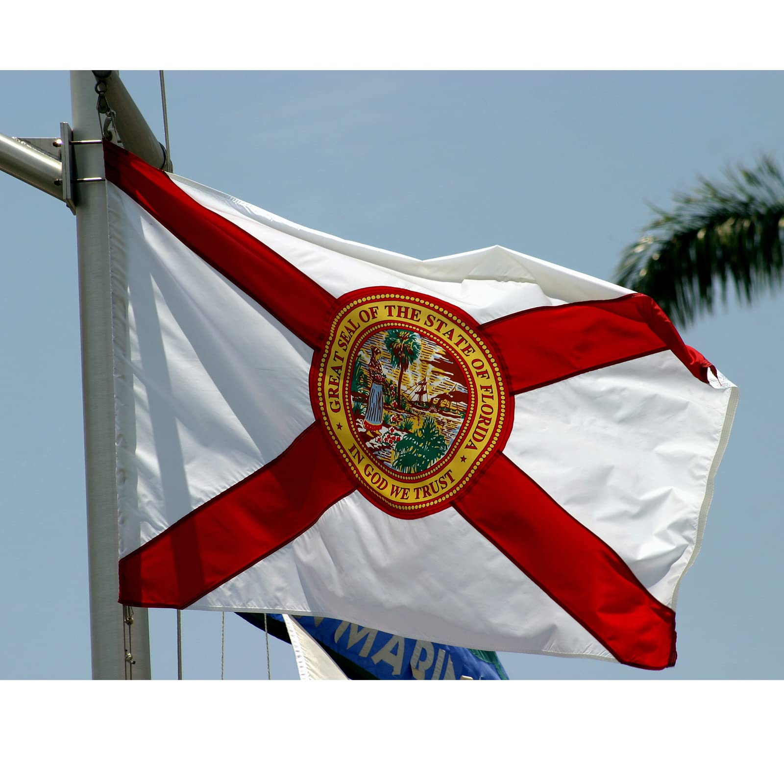 Amazon.co.jp: SYII フロリダ州旗 4x6フィート アメリカ製 刺繍