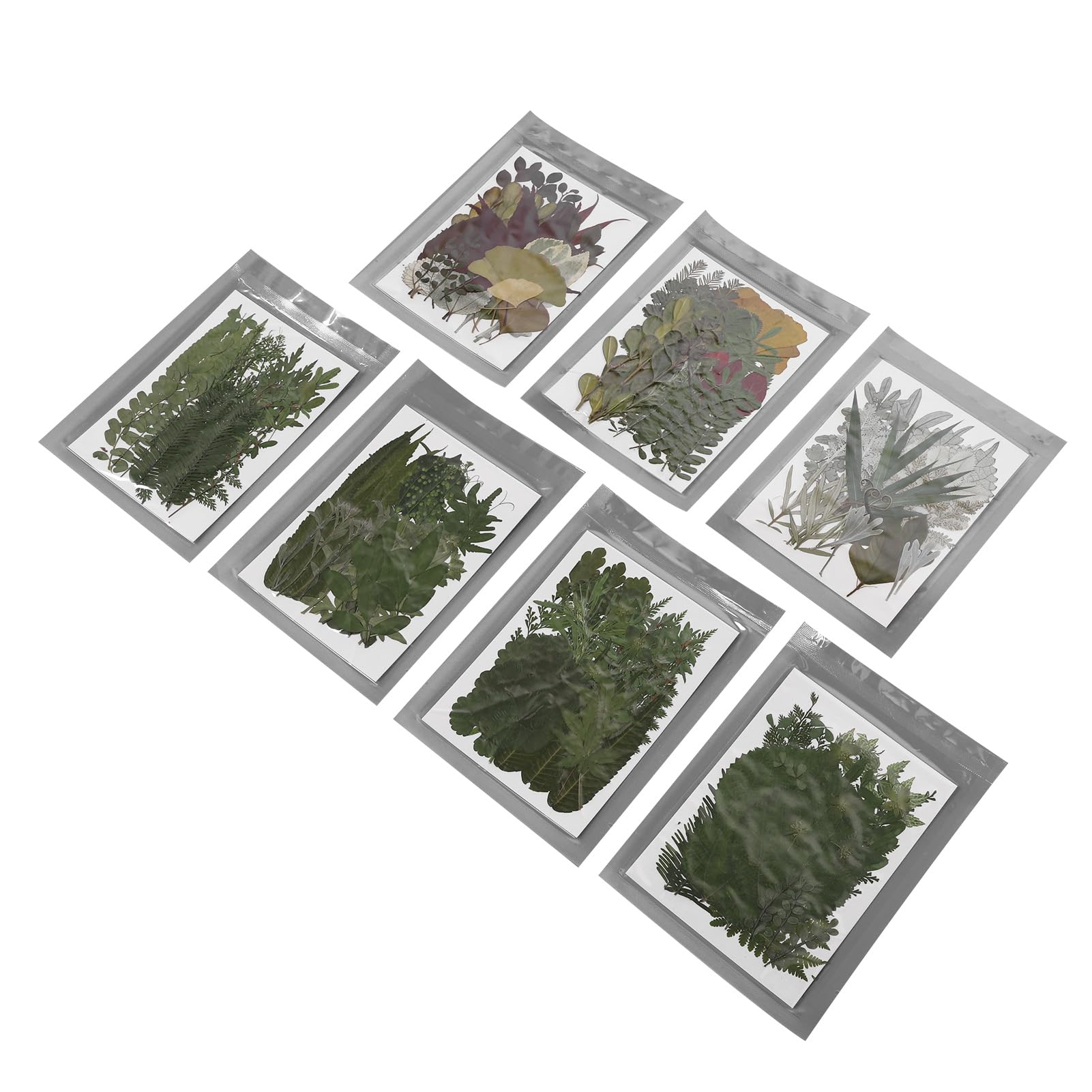 Kit fleurs séchées pressées artisanat naturel bricolage scrapbooking DIY