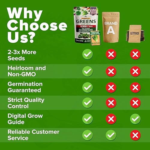 Miniatura 147 de HOME GROWN Más de 1000 semillas de cilantro para plantar en interiores o exteriores, hierbas tradicionales sin OMG, semillas de plantas de cilantro