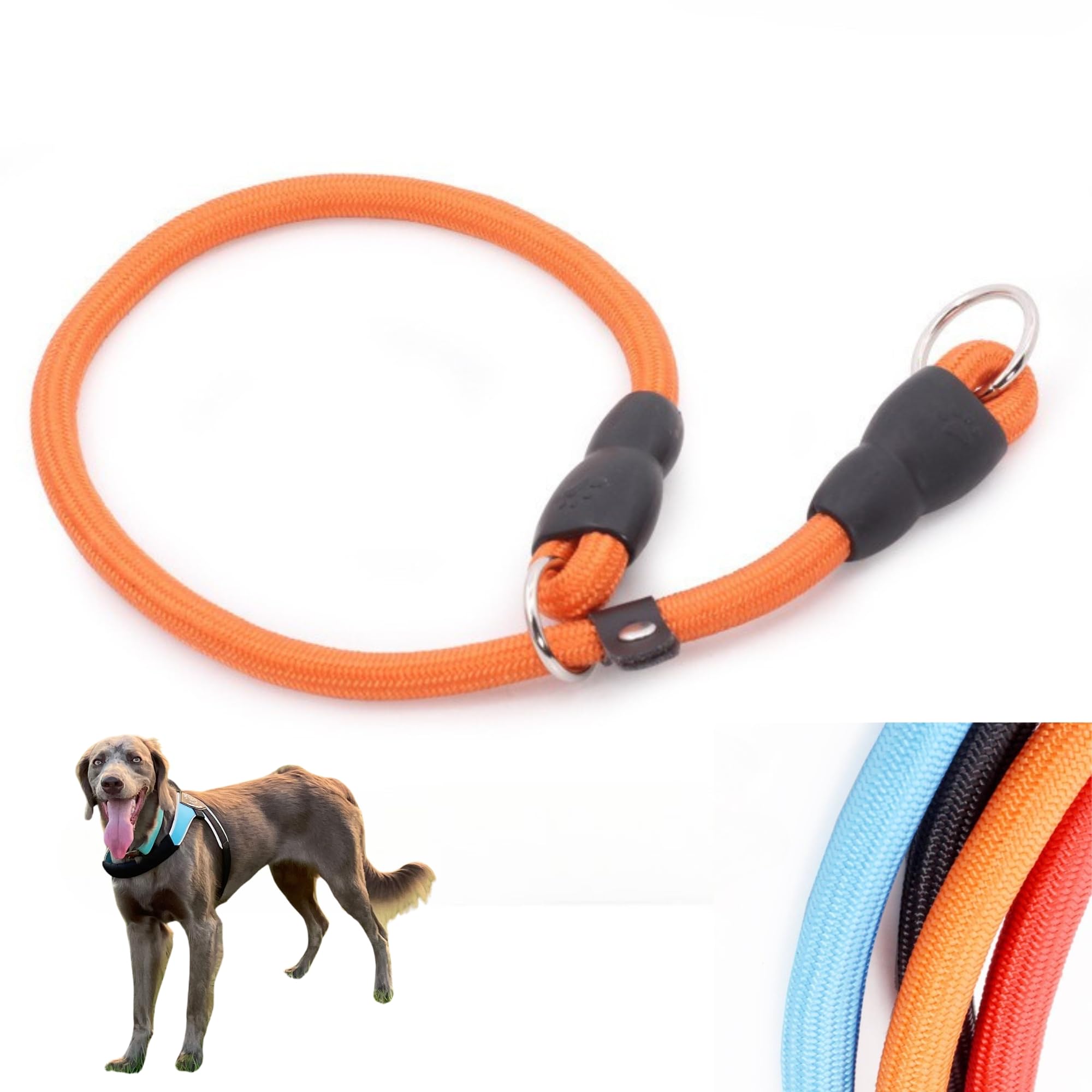 平成レトロ Ｓａｎ−ｘ スポケン 学校ジャージのアスリート犬 首下げストラップ Amazon | 【WonderPawz】 スリップリード 大型犬調教