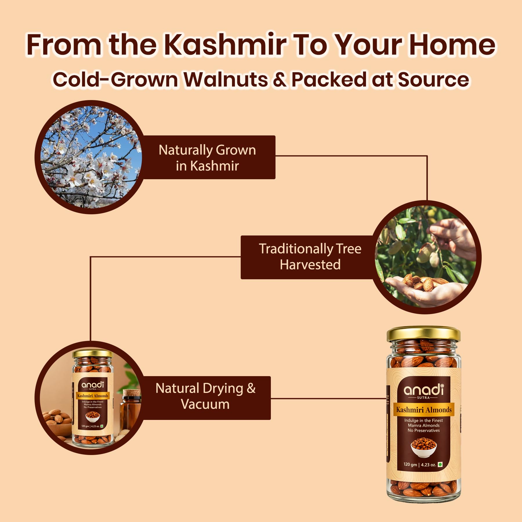 Anadi Sutra Kashmiri Mamra Almonds 120g | High Oil Content | More PUFA MUFA | Unpolished Badaam Giri | 100% Natural Crunchy Nuts & Dryfruits | Fresh As Just Harvested | Rich in Protein, Fiber | Natural Immunity Booster | Unpolished & Unprocessed 4