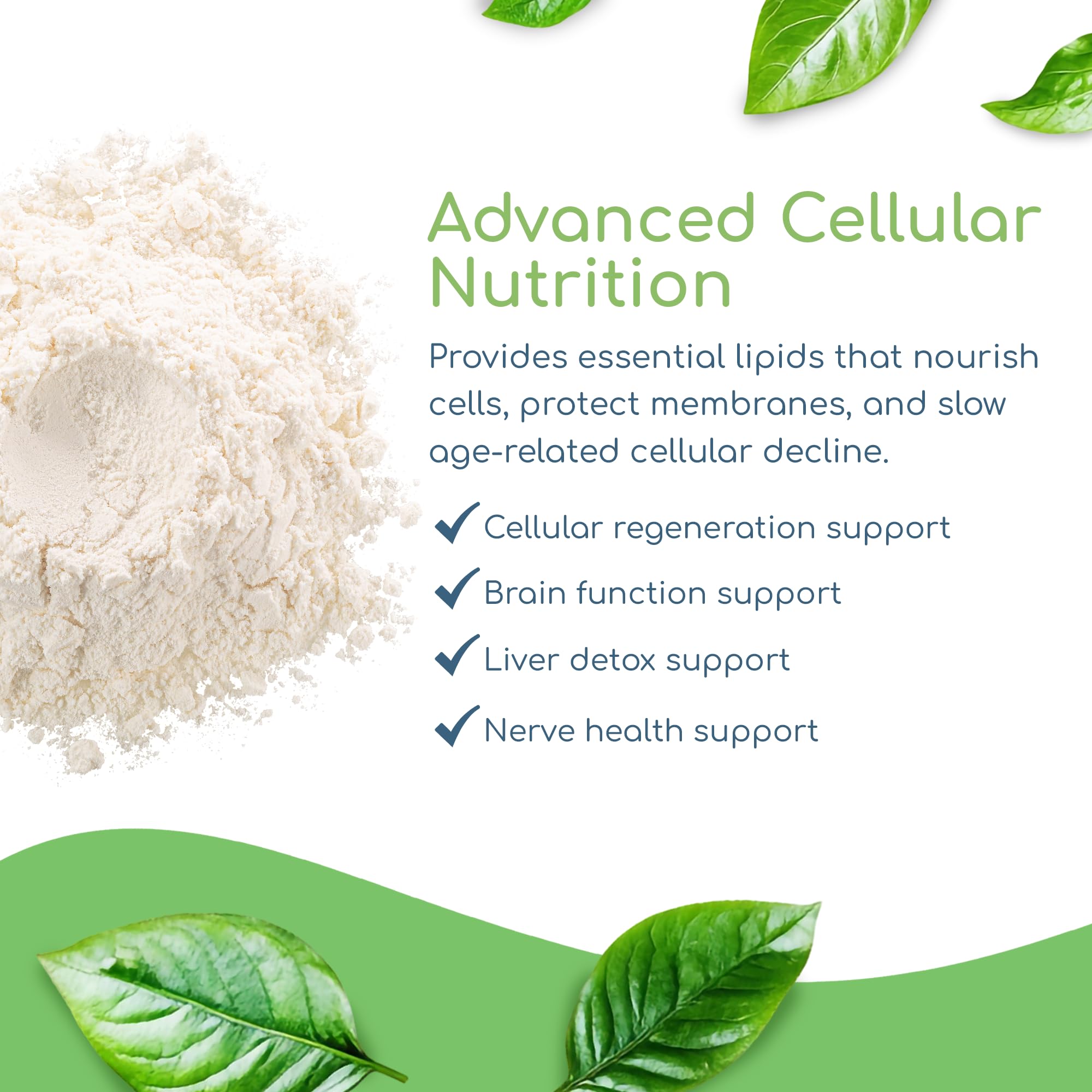 Phospholipid Synergy Powder | Antioxidant Powder for Cellular Repair | Brain Supplements for Memory and Focus | Liver Detox Supplements with an Advance Cleansing Formula | 270 g — Amazon image 4