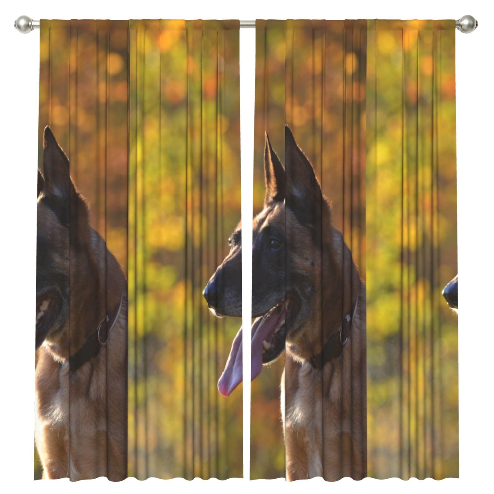 InOmak Malinois, 2 Panels Window Curtains 52 x 84 Inch Blackout Curtains for Living Room Bedroom