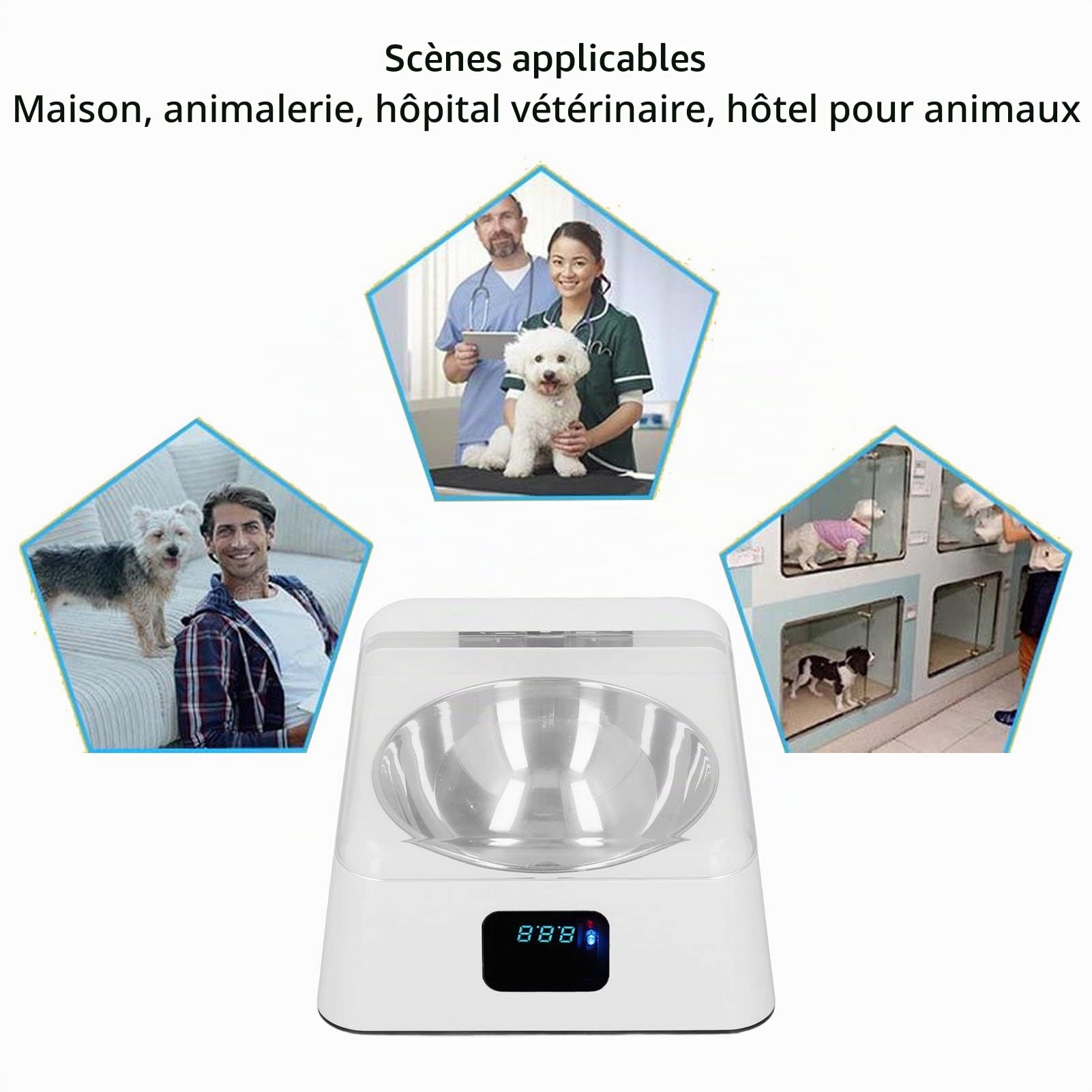 Mangeoire automatique pour chat, mangeoire automatique pour animaux de compagnie 350 ml avec bol en acier inoxydable Distance de détection de 0,5 à 1 m pour chiens de petite taille moyenne Chats