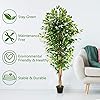 Product Photo 4