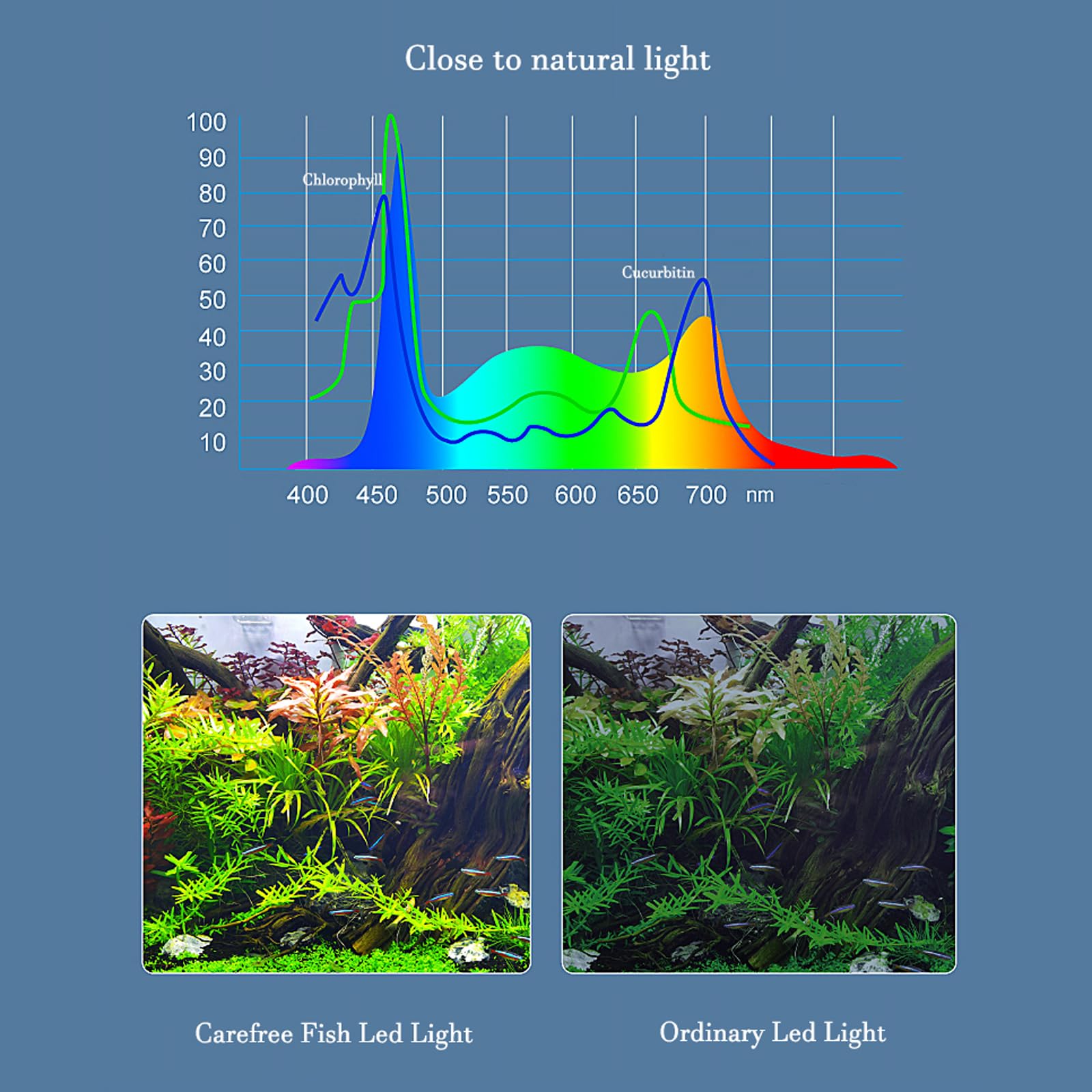 Carefree Fish Aquarium LED Light USB 5V RGBW 5730 Timmer 5~10Gal Fish Tank Clip Light 10 Brightness Levels 8W with USB Port (Include Power Adapter)