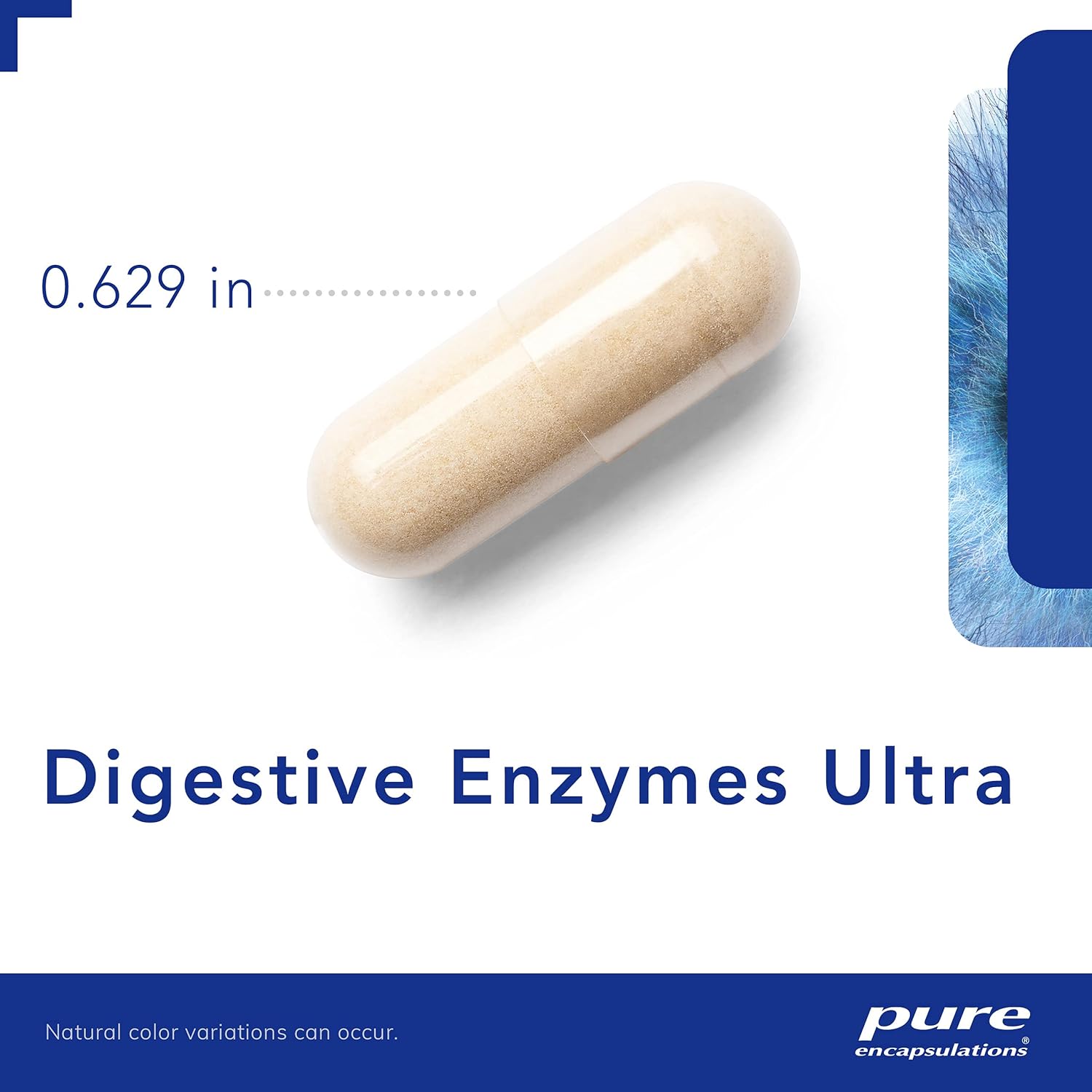 Pure Encapsulations Digestive Enzymes Ultra | Supplement to Aid in Breaking Down Fats, Proteins, and Carbohydrates for Digestion* | 180 Capsules : Health & Household