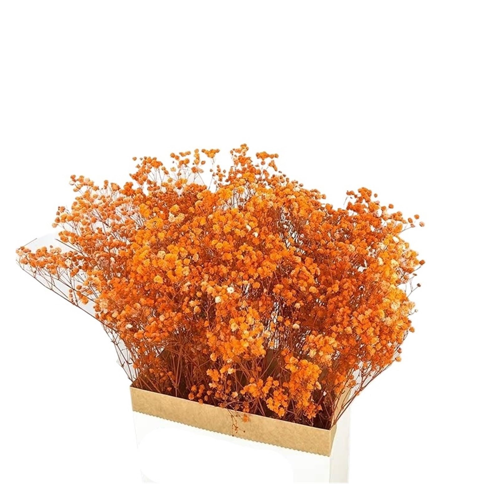 WJIAYAO dried gypsophila flowers 100g Dried Flowers Baby Breath Preserved Gypsophila Bouquet Home Decor Colorful Gypsophile Wedding Party Decoration(Orange,60g)