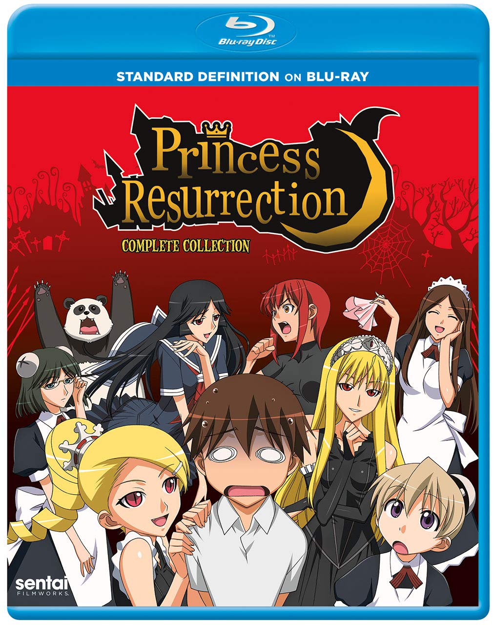 Amazon.co.jp: Princess Resurrection [Blu-ray] : Miyu Irino