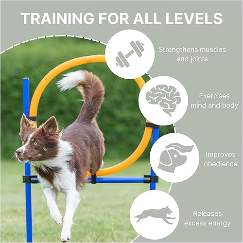 Miniatura 3 de TRIXIE Anillo de agilidad para perros aro portátil para perro equipo de carrera de obstáculos entrenamiento de obediencia