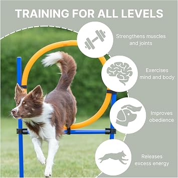 TRIXIE Dog Agility Ring Jump | Portable Dog Hoop - Agility at Home, Dog Obstacle Training Equipment