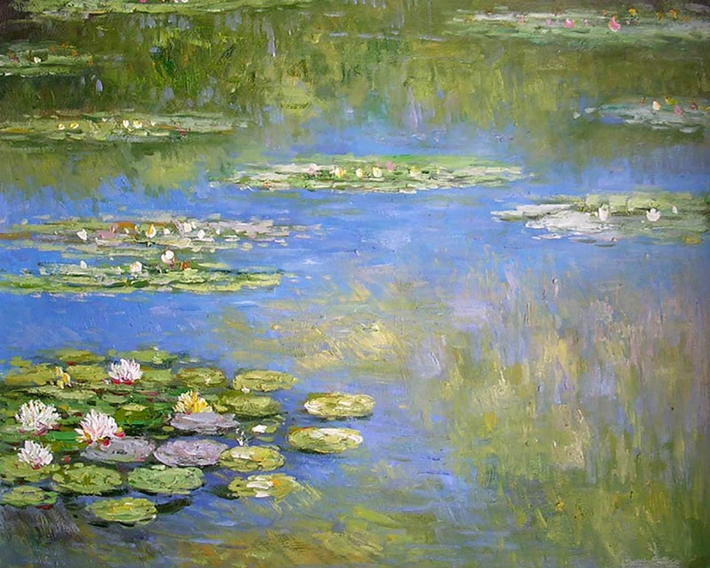 sunlight oil painting Diy Oil Painting Paint by numbers kit Wall Art -Monet Water Lily 16x20inch