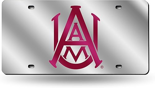 Rico Industries Placa de matrícula de metal con incrustaciones láser de Florida Gators de la NCAA