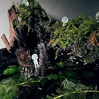 しょーま様確認用出品　流木6本セット 流木 6本セット NO.55の通販 by sunny day's shop｜ラクマ