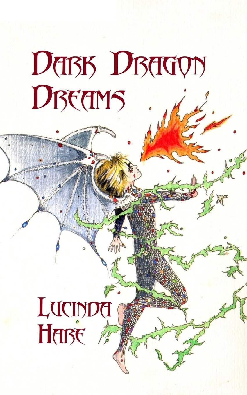 Dark Dragon Dreams by Lucinda Hare PAPERBACK 9780957471870