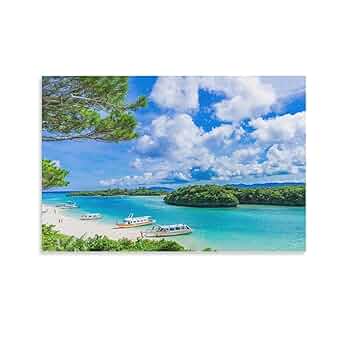 著名な写真家の作品パネル「Look at me 」　沖縄県石垣島の海中にて 著名な写真家の作品パネル「Look at me 」 沖縄県石垣島の海中にて