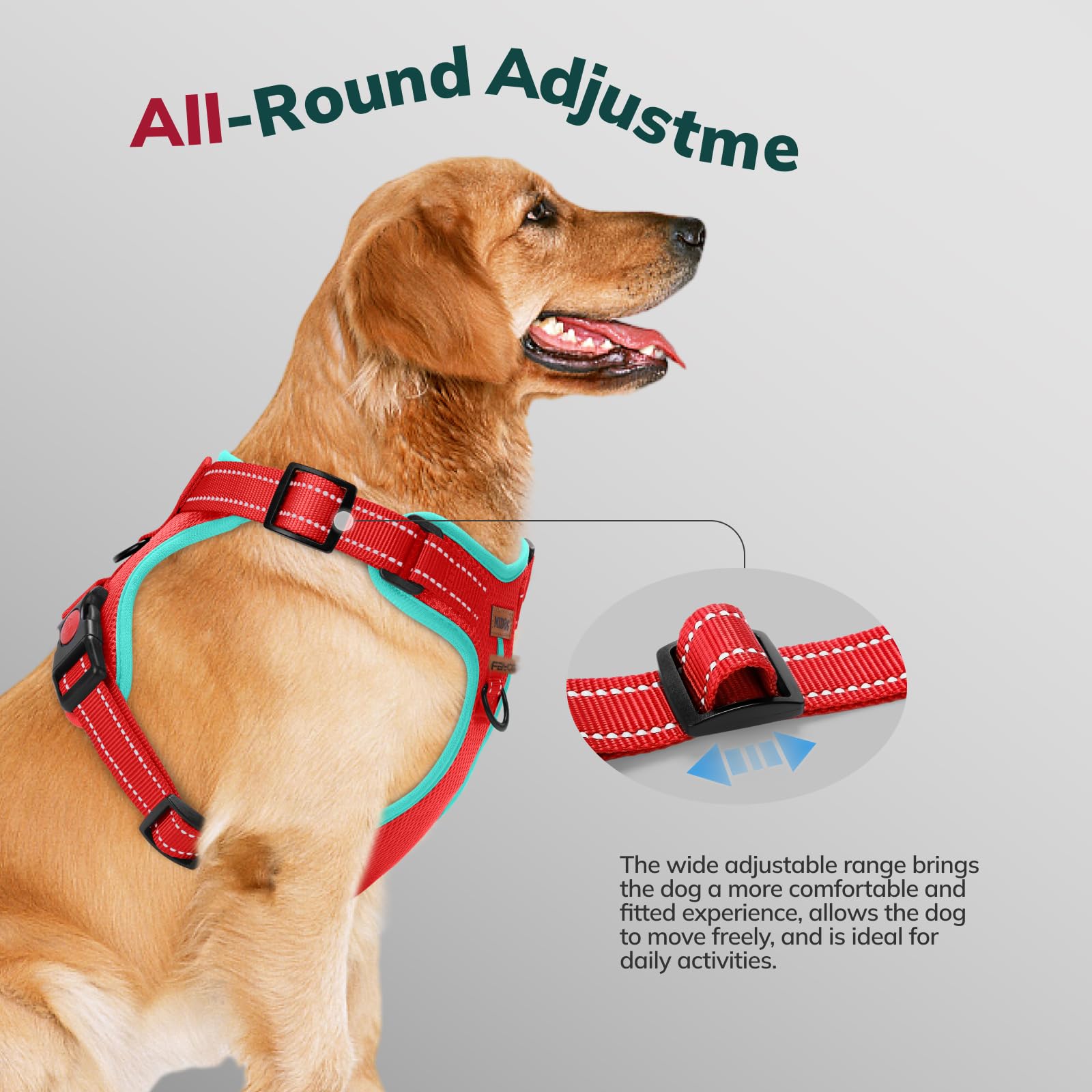 FAYOGOO Pettorina Cane, Pettorina Cane Taglia Media Regolabile, Traspirante Pettorina Cane Taglia Grande con Guinzaglio, Pettorina Antifuga Cane per la Corsa, Passeggiate, Jogging (Rosso, S)