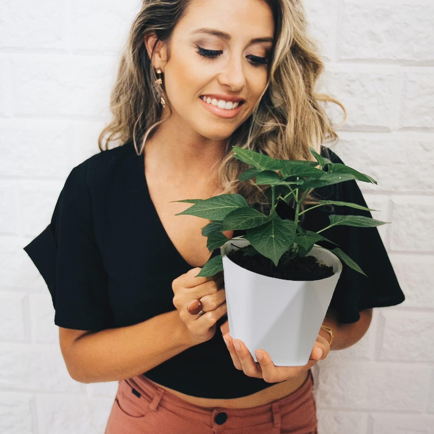 InmeRun Plant Pots Indoor Plastic Flower Pots Outdoor 7 inch Set of 6 Pack with Drainage Holes and Saucers for Garden pots (7 in 6 pcs)