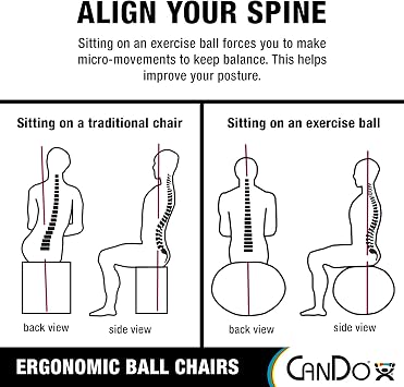 CanDo Metal Ball Chair - Inflatable Ergonomic Active Seating Exercise Ball Chair with Air Pump for Home, Office, and Classroom