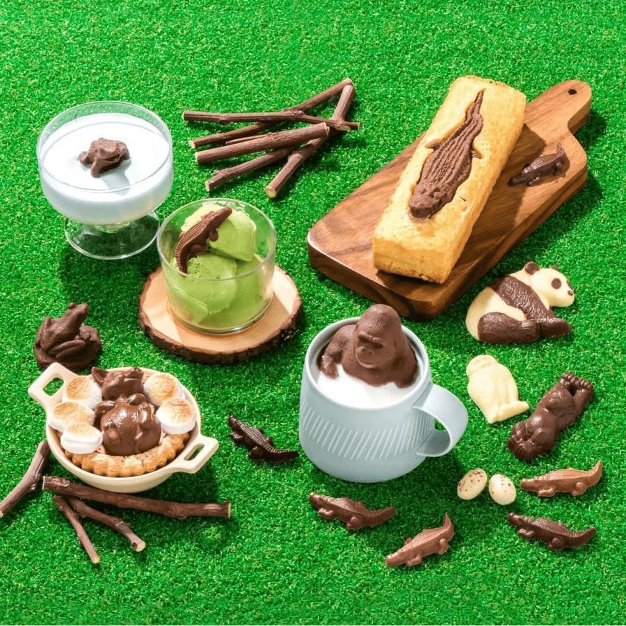 Amazon.co.jp: Zoology Animal Chocolate Dictionary M 7 Tablets
