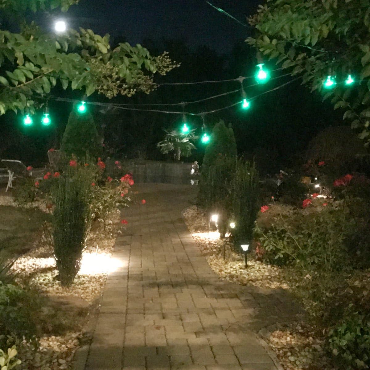 Free Shipping Offer Royal Designs – Premium Weatherproof Indoor/Outdoor String Lights for Yard Patio Garden Porch Wedding Party– 96-Foot Strand with 32 Sockets– Green Light Bulbs Included Best Review Royal Designs – Premium Weatherproof Indoor/Outdoor String Lights for Yard Patio Garden Porch Wedding Party– 96-Foot Strand with 32 Sockets– Green Light Bulbs Included