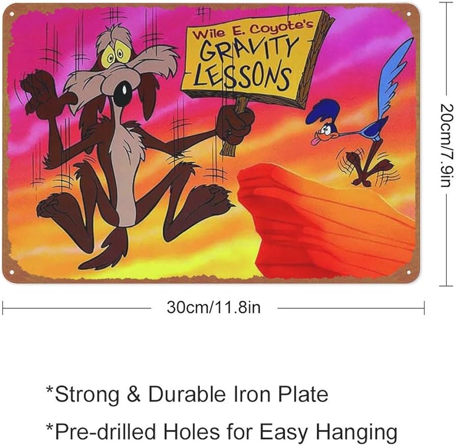 Wile E. Coyote and The Road Runner Iron On Transfer #3 Poster