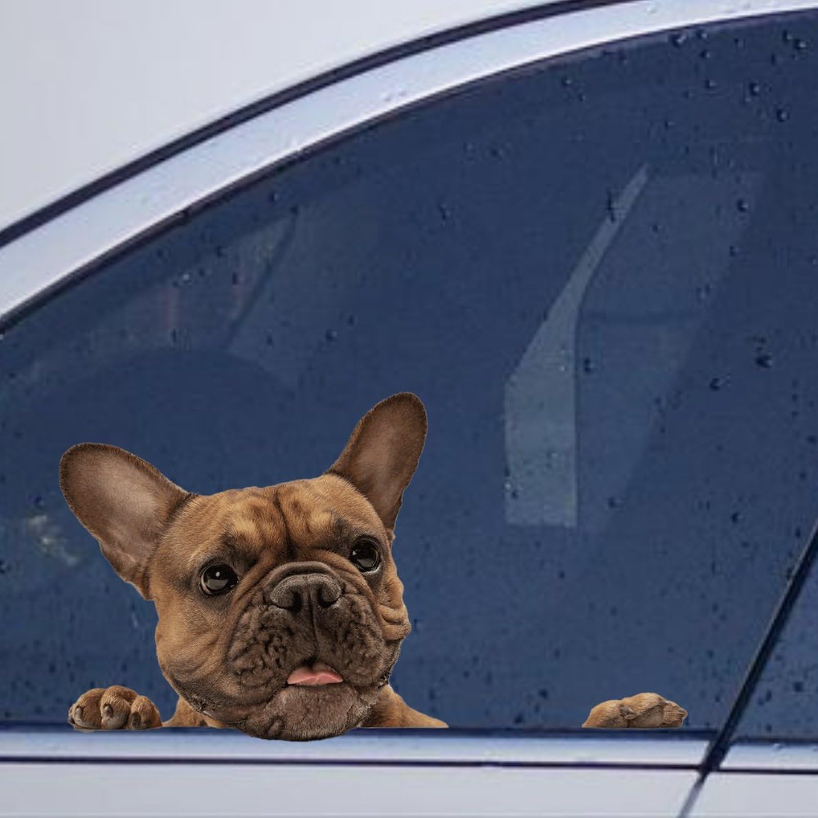 Adesivi 4x4 Off Road Adesivo Auto Bulldog Francese Divertente - Decorazione  Vinile Per Paraurti, Finestra, Laptop Euro 2024 Stickers, image size:1600x1600