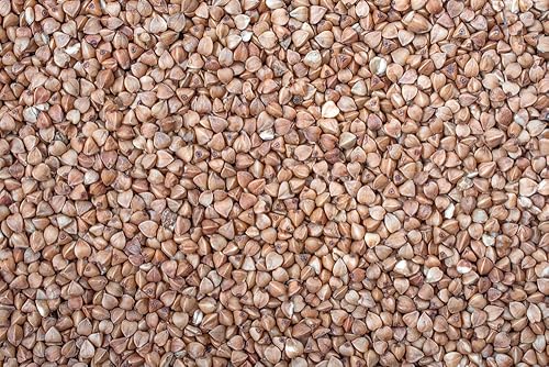 Miniatura 2 de Semillas de trigo sarraceno para plantar cultivo de cobertura, grano, pasto de abejas, polinizador, semillas de vida silvestre (22 libras)
