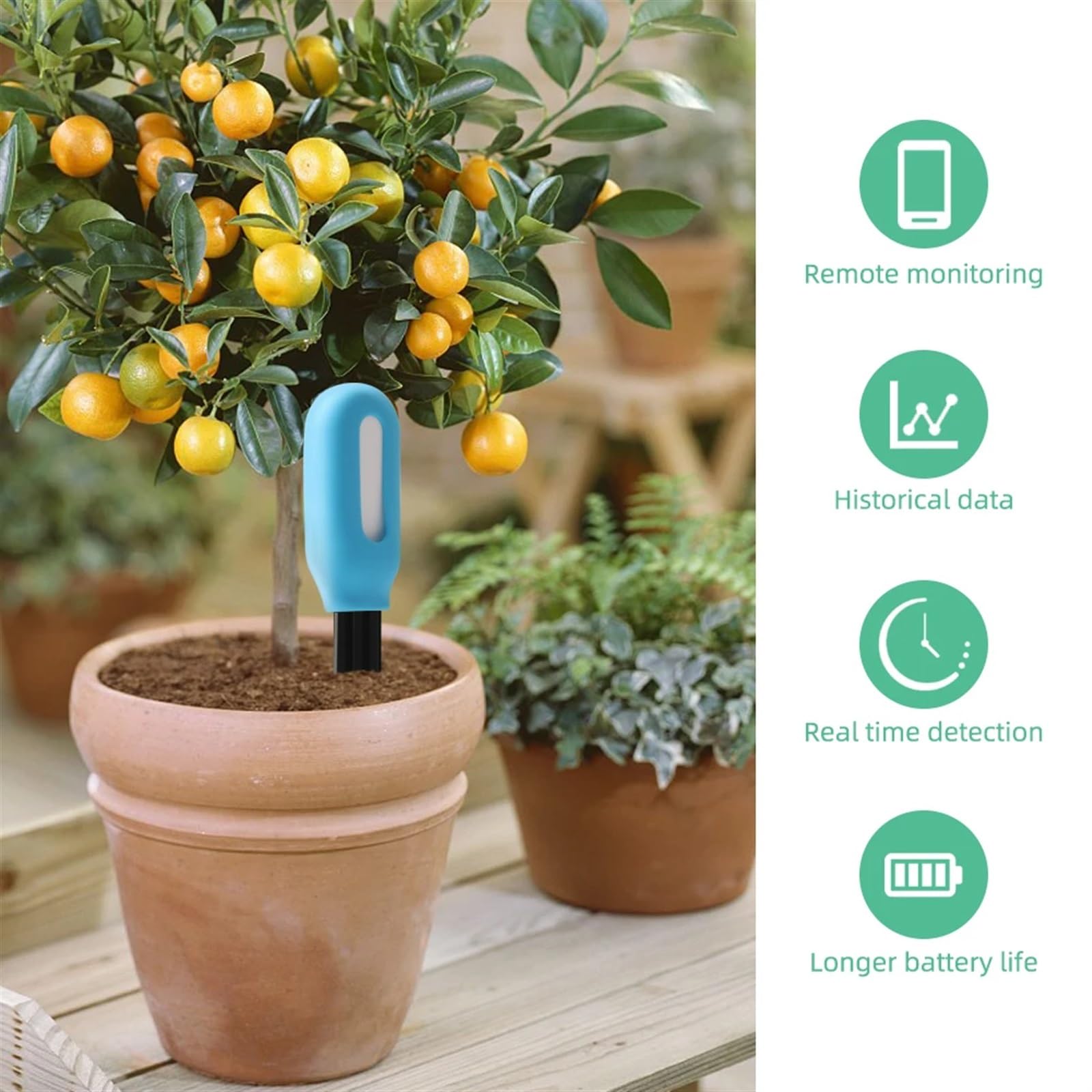 Probador de suelo inteligente con, Sensor humedad y temperatura, higrómetro tierra inalámbrico for plantar jardín, césped en maceta,Monitoreo preciso
